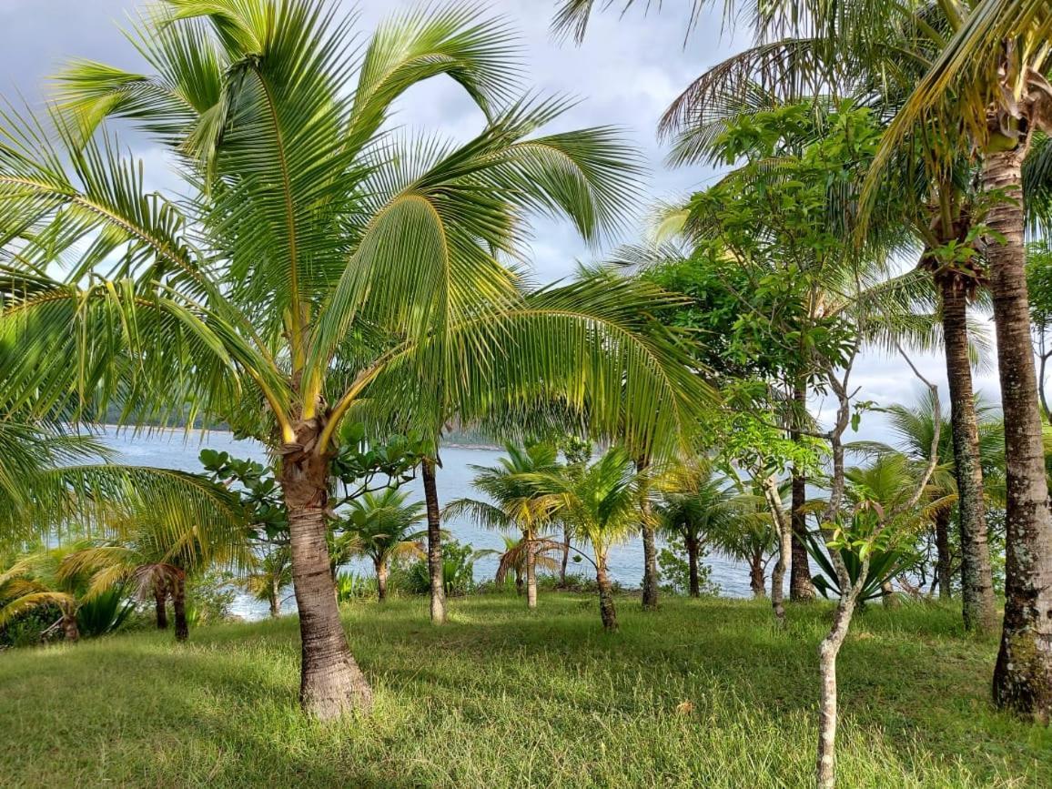 Quintal Da Mata Hotel Camburi  Eksteriør billede